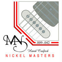 NEWTONE CUERDAS PARA GUITARRA NICKEL MASTERS 009-042